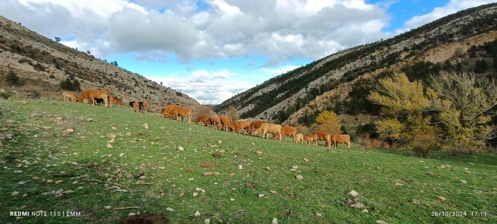 Apartamentos De Turismo Rural La Rocha Fortanete Exteriér fotografie